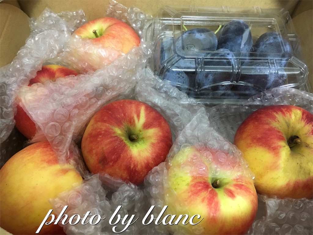 f:id:nuage_blanc:20160907205040j:image f:id:nuage_blanc:20160907205040j:image