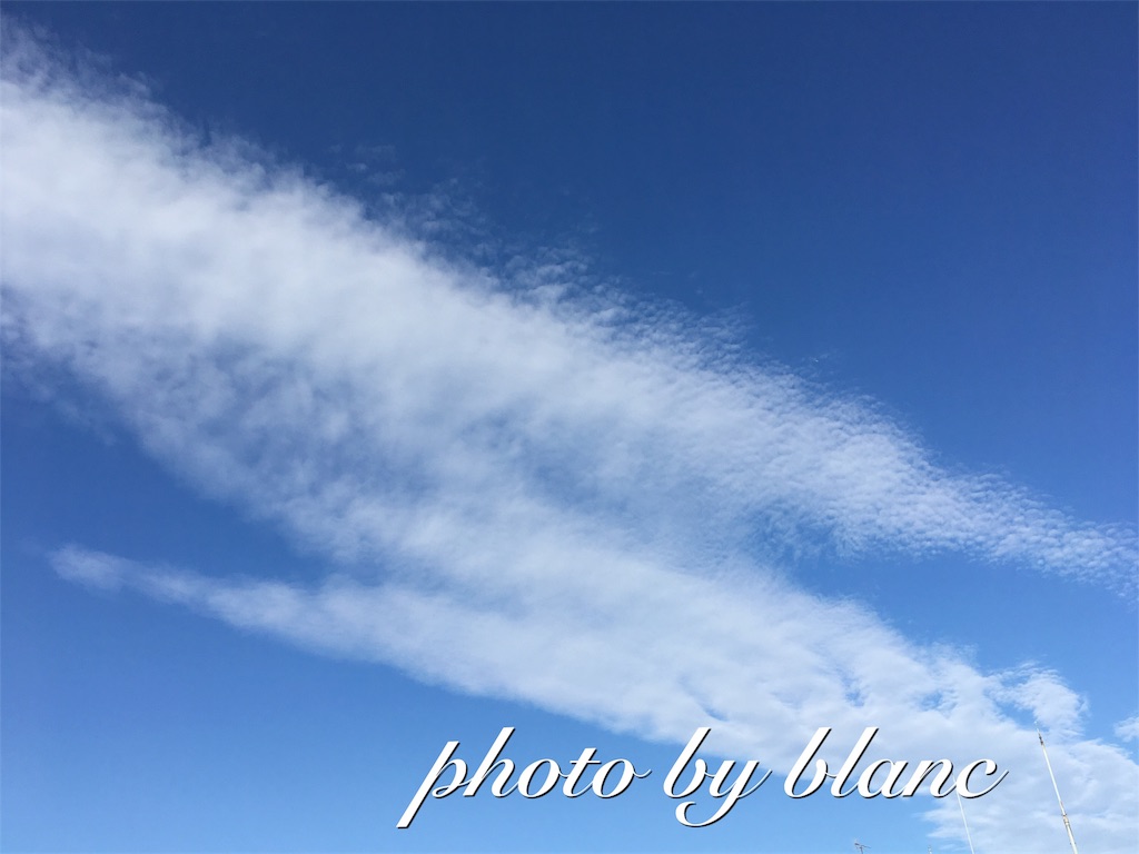 f:id:nuage_blanc:20161027222158j:image f:id:nuage_blanc:20161027222158j:image