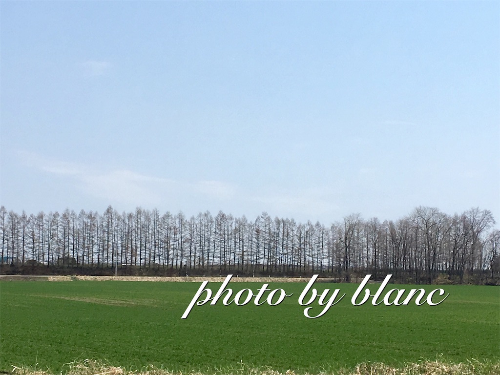 f:id:nuage_blanc:20170430141730j:image f:id:nuage_blanc:20170430141730j:image
