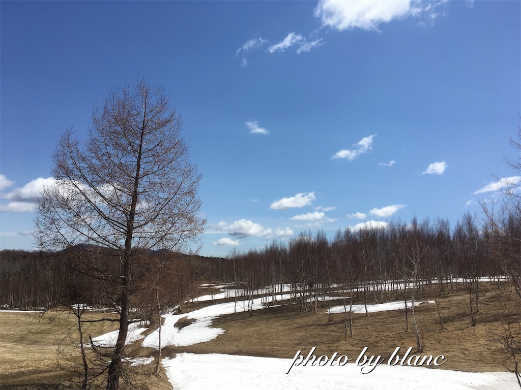 f:id:nuage_blanc:20170502131016j:image