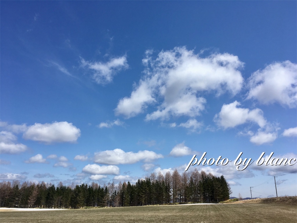 f:id:nuage_blanc:20170502131035j:image