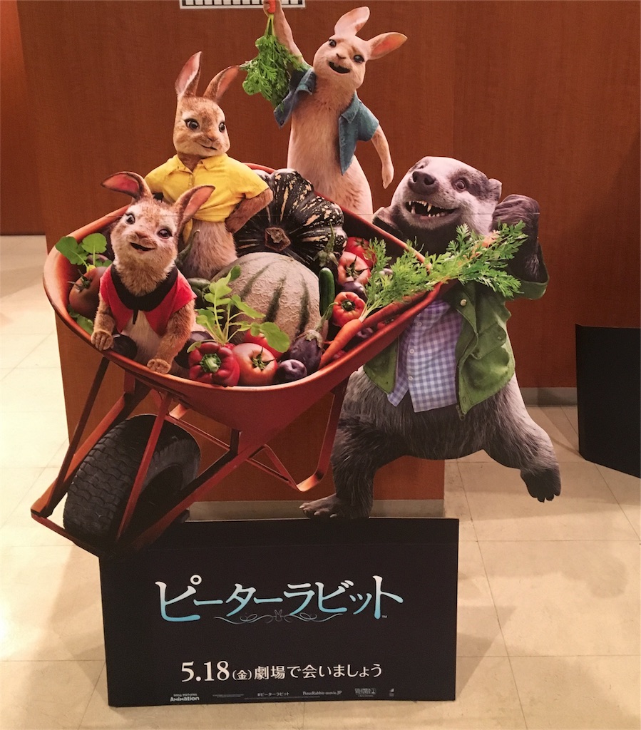 f:id:nuage_blanc:20180519145918j:image f:id:nuage_blanc:20180519145918j:image