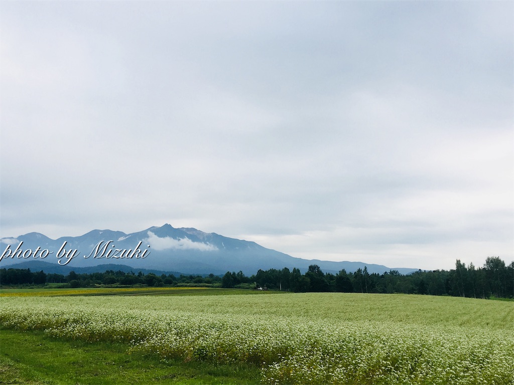 f:id:nuage_blanc:20180822083652j:image f:id:nuage_blanc:20180822083652j:image