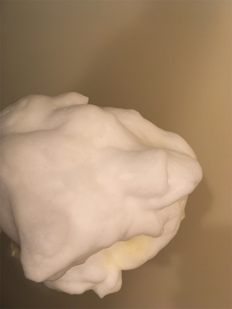 f:id:nuage_blanc:20181221211821j:image f:id:nuage_blanc:20181221211821j:image