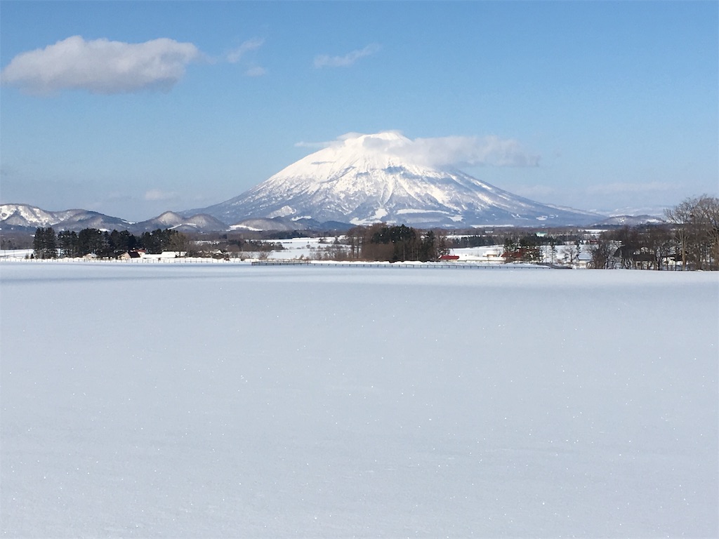 f:id:nuage_blanc:20190115081059j:image f:id:nuage_blanc:20190115081059j:image
