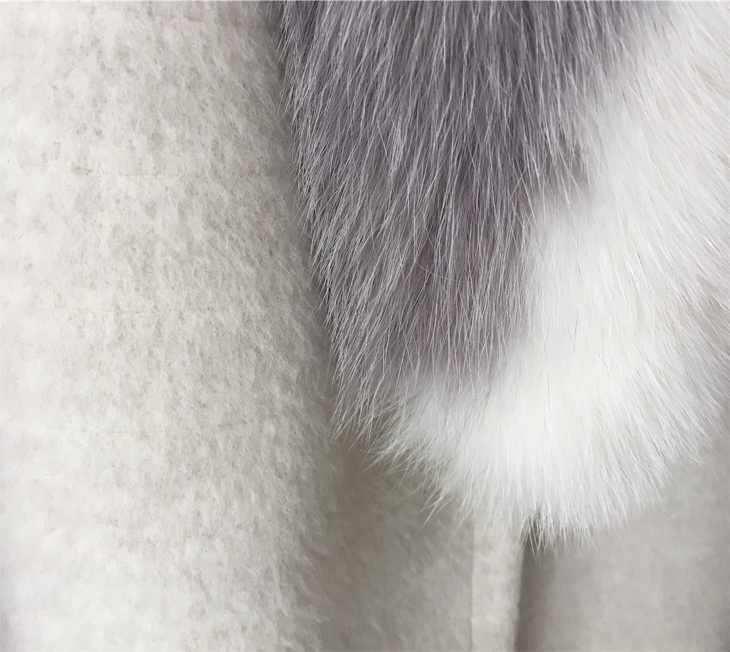 f:id:nuage_blanc:20190119140152j:image f:id:nuage_blanc:20190119140152j:image