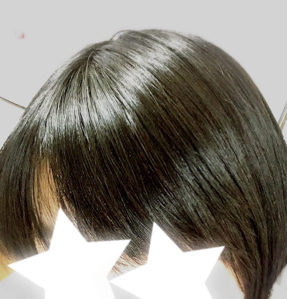 f:id:nuage_blanc:20190120163904j:image f:id:nuage_blanc:20190120163904j:image