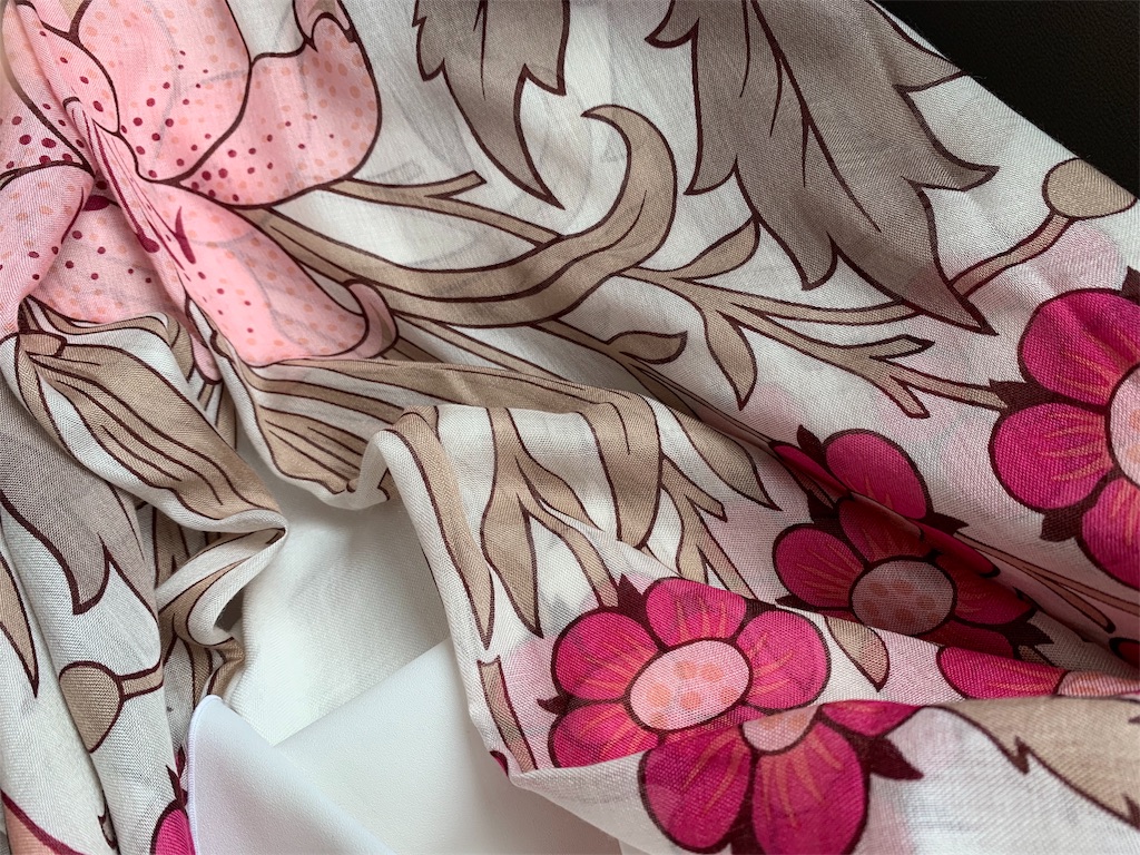 f:id:nuage_blanc:20190608074707j:image f:id:nuage_blanc:20190608074707j:image