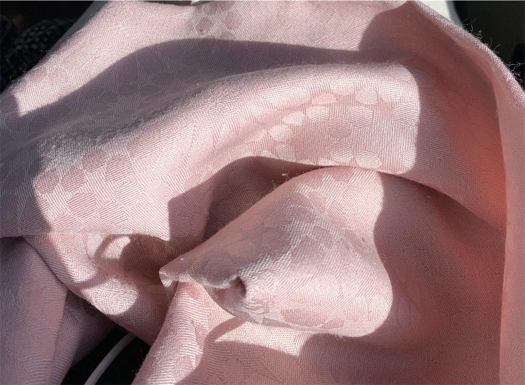 f:id:nuage_blanc:20200321220432j:image f:id:nuage_blanc:20200321220432j:image