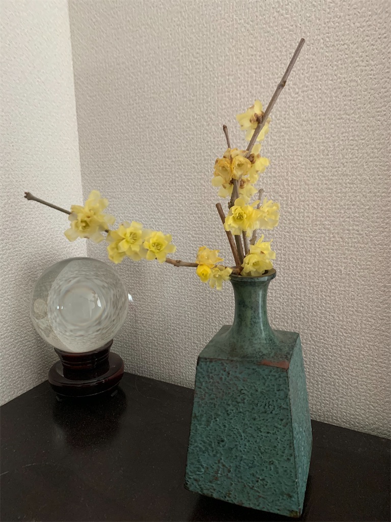 f:id:nuage_blanc:20201230072353j:image