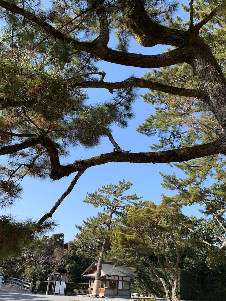 f:id:nuage_blanc:20210116202148j:image f:id:nuage_blanc:20210116202148j:image