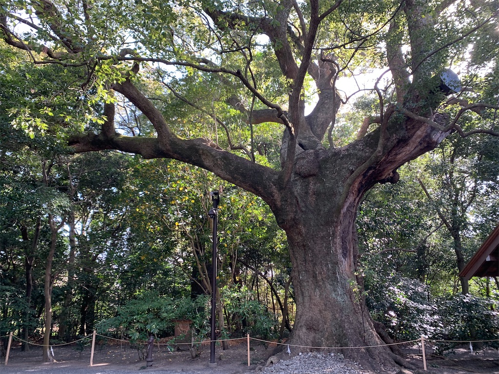 f:id:nuage_blanc:20210116203720j:image f:id:nuage_blanc:20210116203720j:image