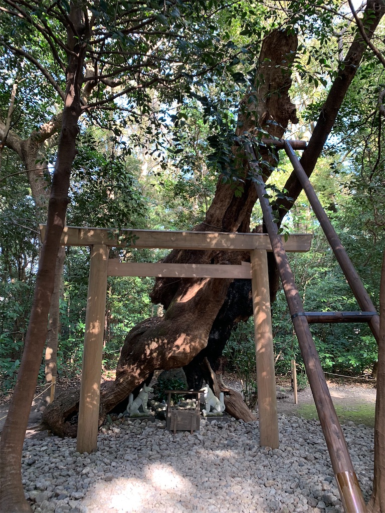 f:id:nuage_blanc:20210116203724j:image f:id:nuage_blanc:20210116203724j:image