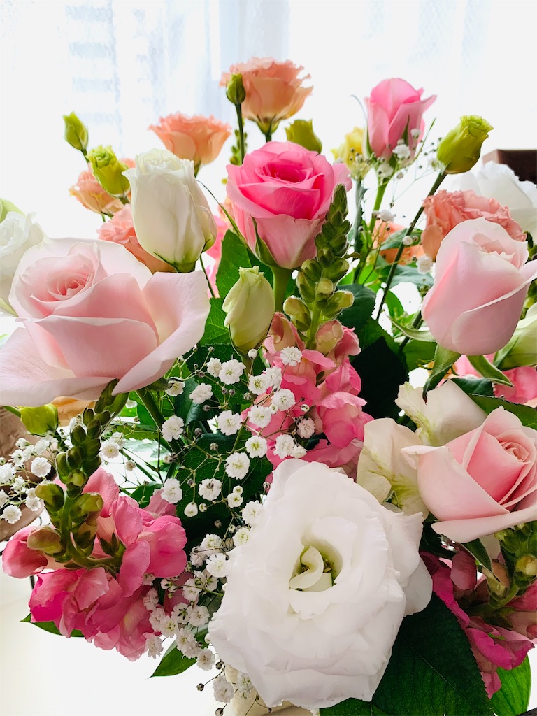 f:id:nuage_blanc:20210414034717j:image f:id:nuage_blanc:20210414034717j:image