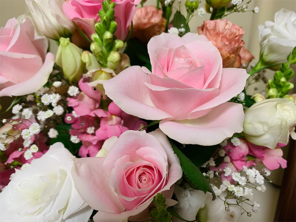 f:id:nuage_blanc:20210414034845j:image f:id:nuage_blanc:20210414034845j:image