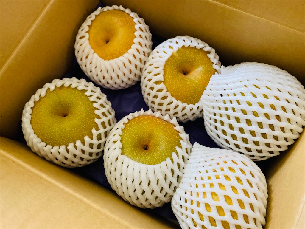 f:id:nuage_blanc:20210811202820j:image