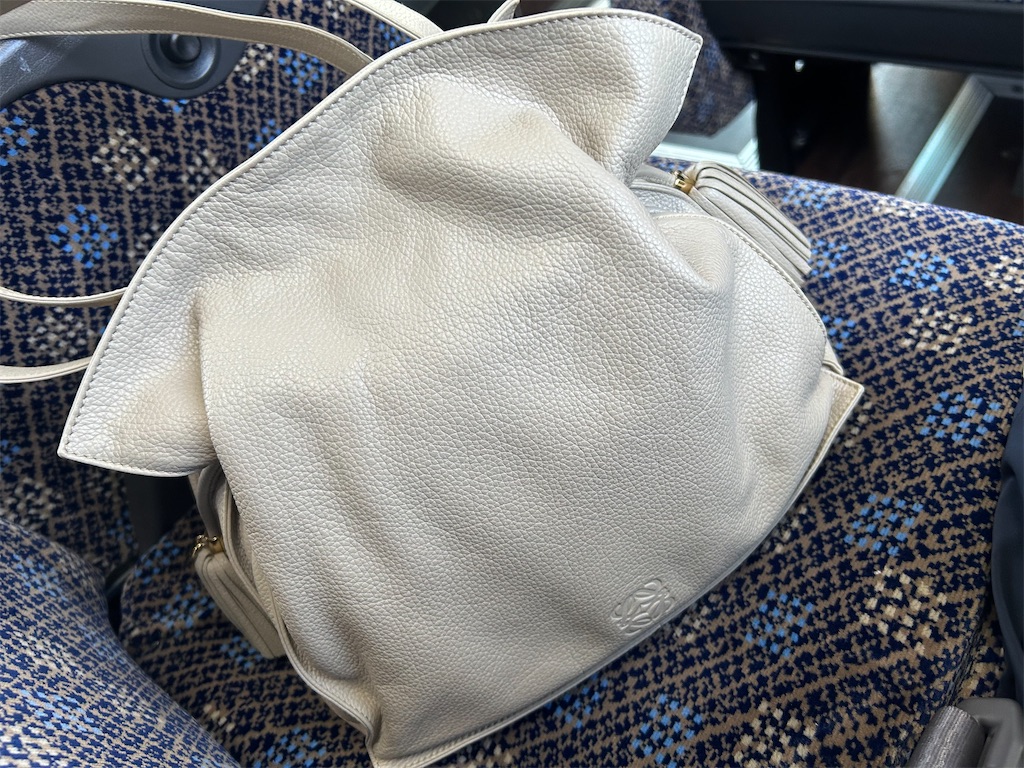 f:id:nuage_blanc:20230311090604j:image