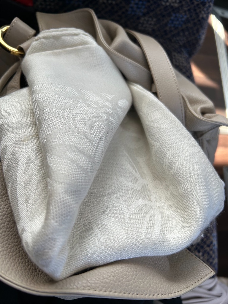 f:id:nuage_blanc:20230311092125j:image