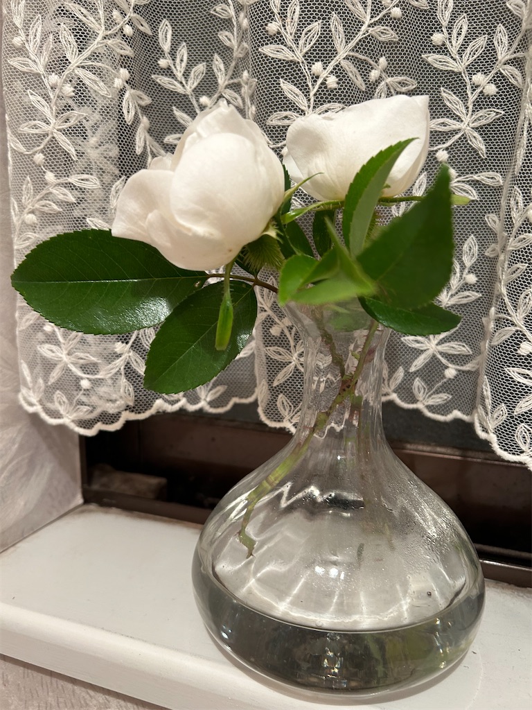 f:id:nuage_blanc:20230421064337j:image f:id:nuage_blanc:20230421064337j:image