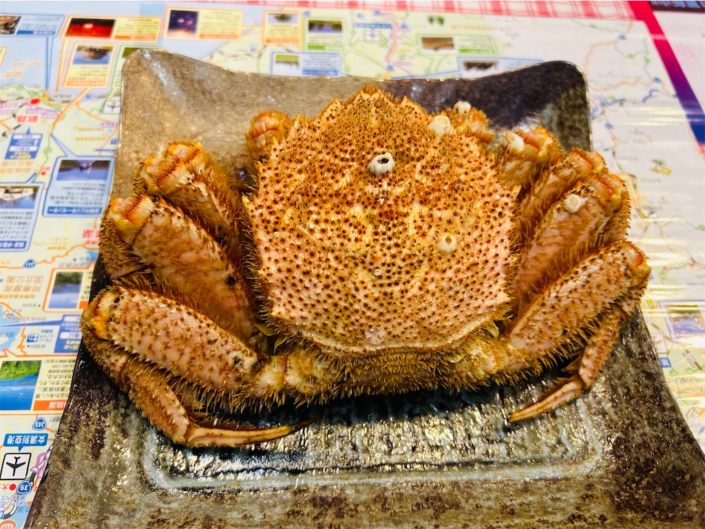 f:id:nuage_blanc:20230506193819j:image