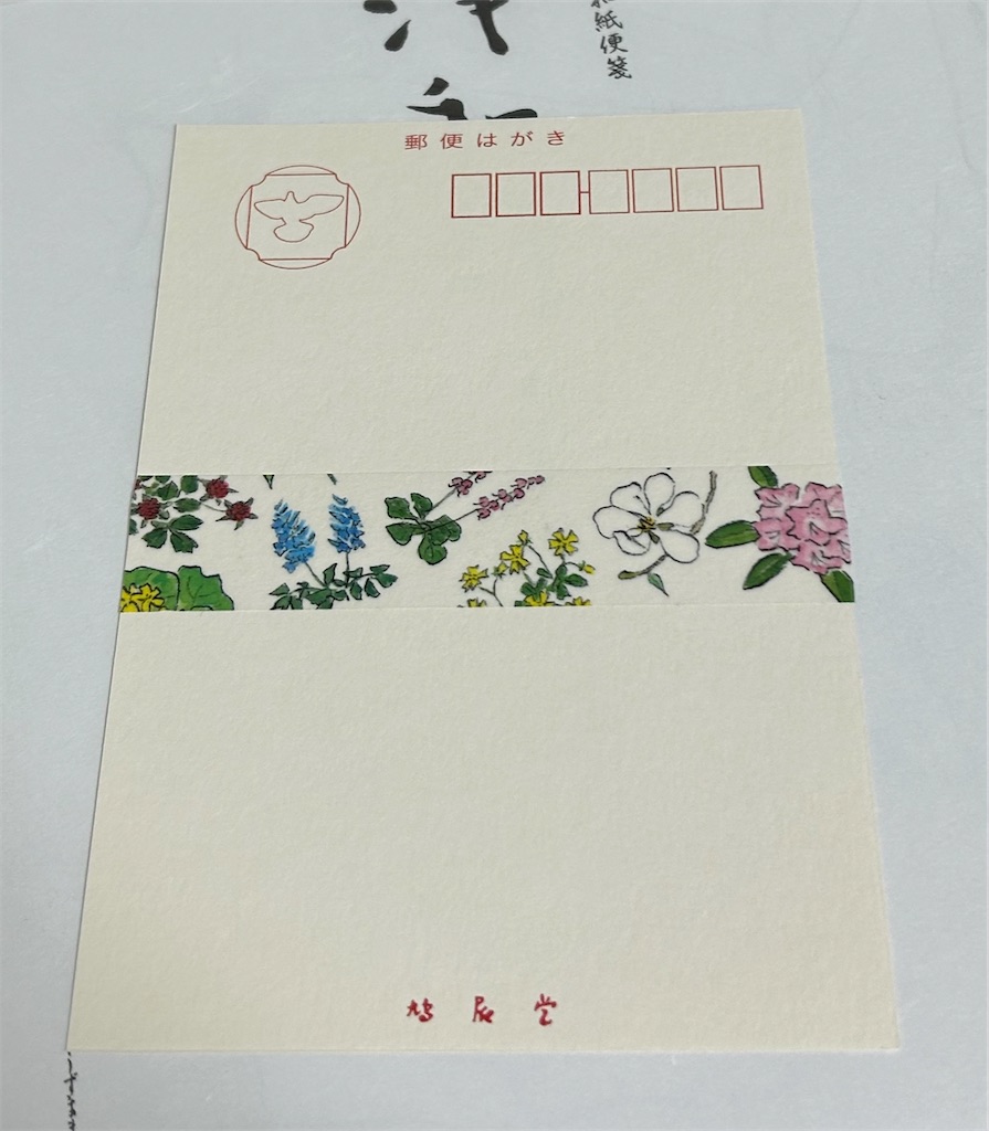 f:id:nuage_blanc:20230604061115j:image