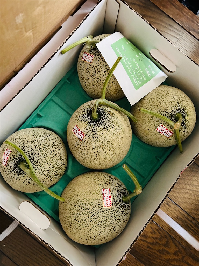 f:id:nuage_blanc:20230714212741j:image f:id:nuage_blanc:20230714212741j:image