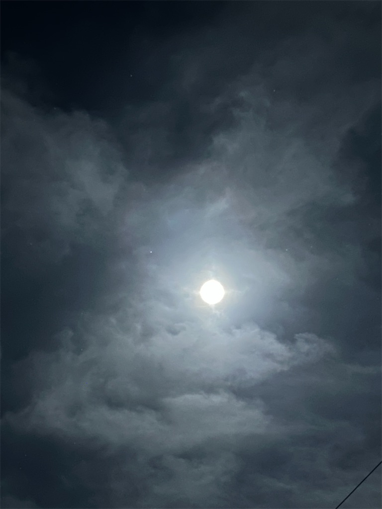 f:id:nuage_blanc:20230901063054j:image f:id:nuage_blanc:20230901063054j:image