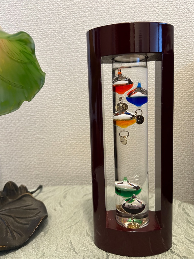 f:id:nuage_blanc:20240218083713j:image