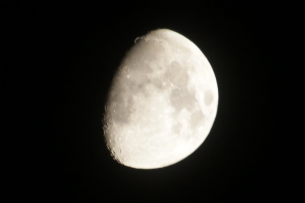 f:id:nuage_blanc:20240519080809j:image