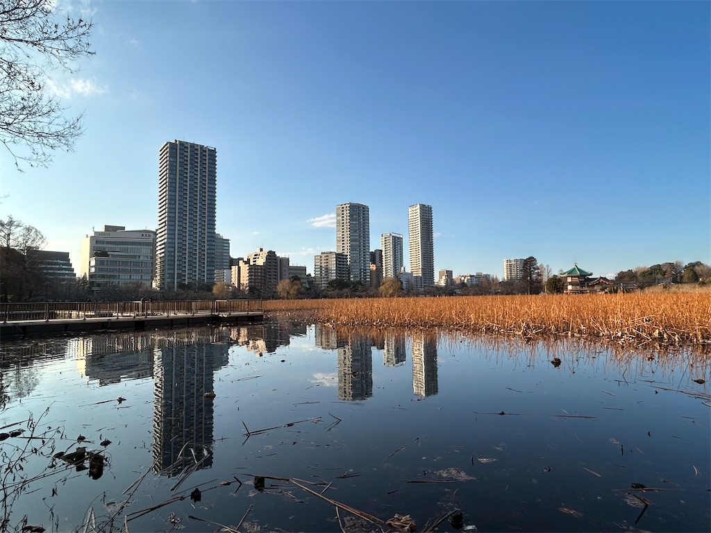 f:id:nuage_blanc:20250126105420j:image