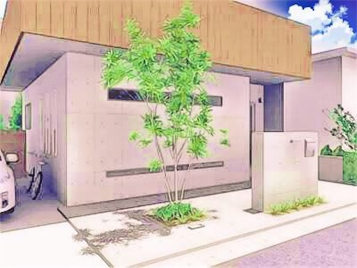 シンボルツリーは 常緑樹 落葉樹 注文住宅で家を建てる シンボルツリーは 常緑樹 落葉樹 注文住宅で家を建てる