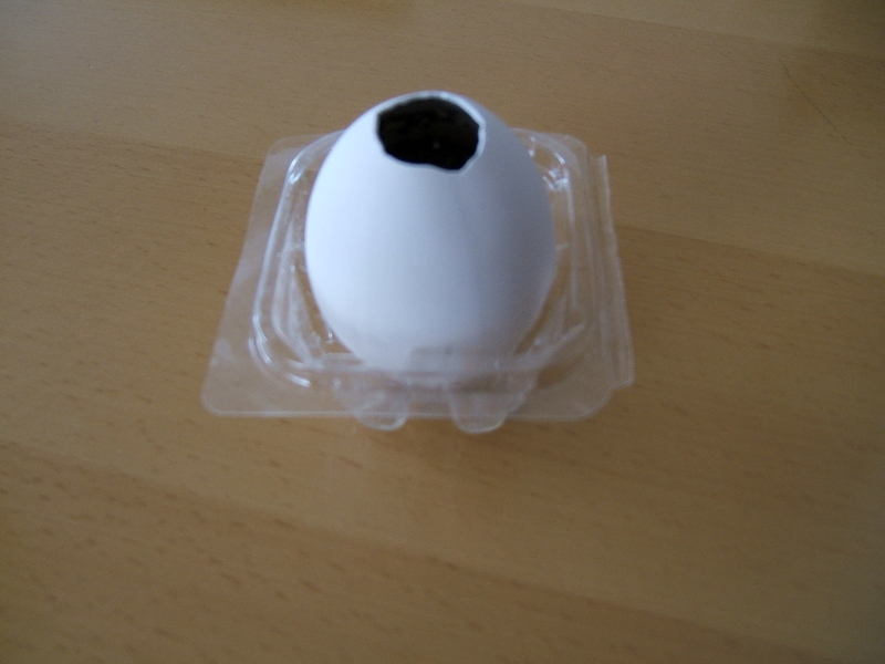 「eggling」という名の、鶏卵の形をした植物栽培キットの写真