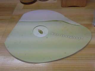 What is euglena? というタイトルの冊子の写真。冊子の形状がミドリムシを象っている。