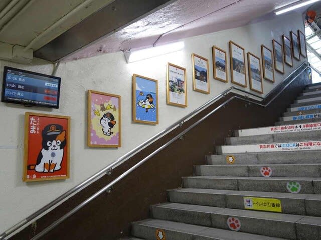 和歌山県 和歌山市 和歌山駅の写真