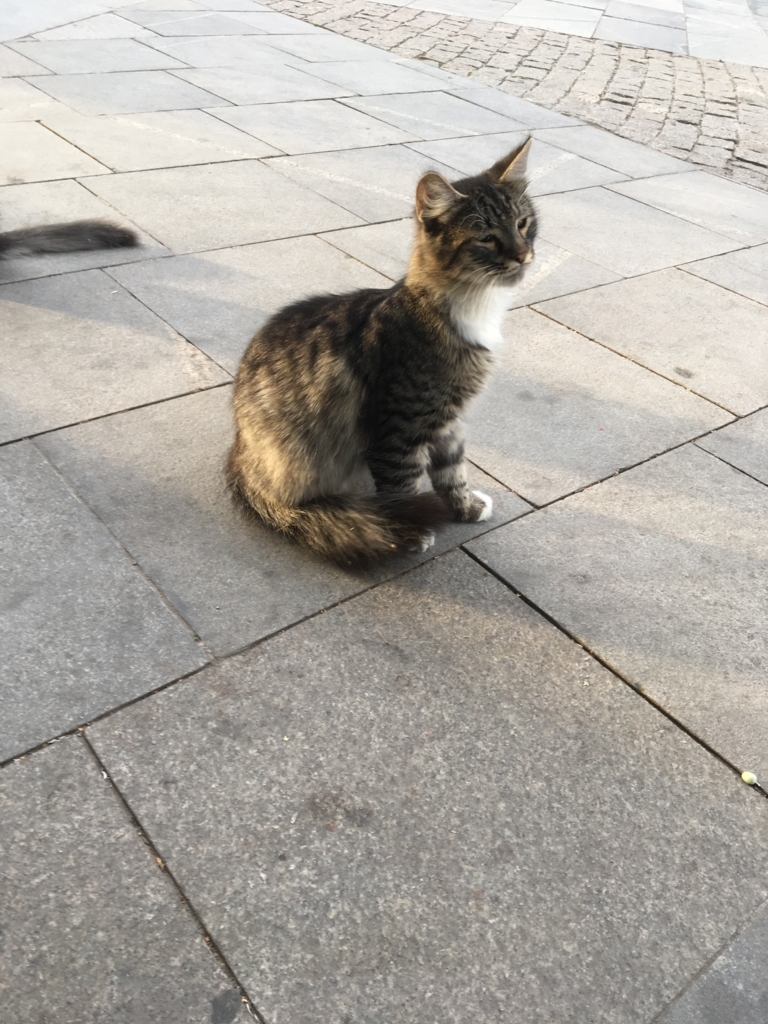 f:id:nugoronnnu:20180824221532j:plain f:id:nugoronnnu:20180824221532j:plain