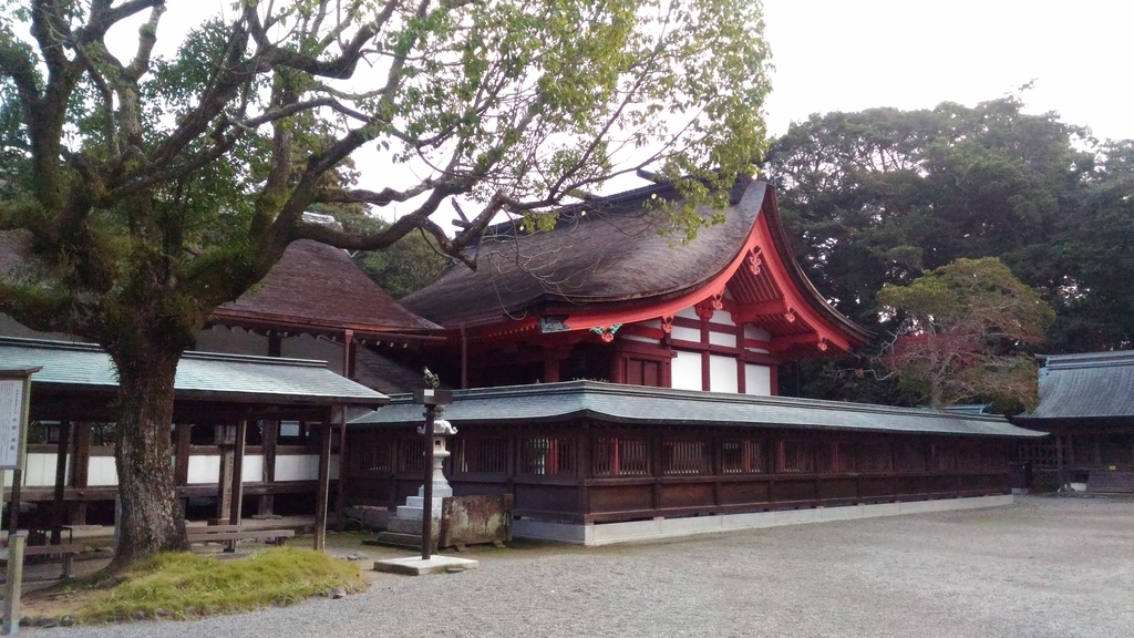 f:id:nuh_dl:20190103161013j:plain f:id:nuh_dl:20190103161013j:plain
