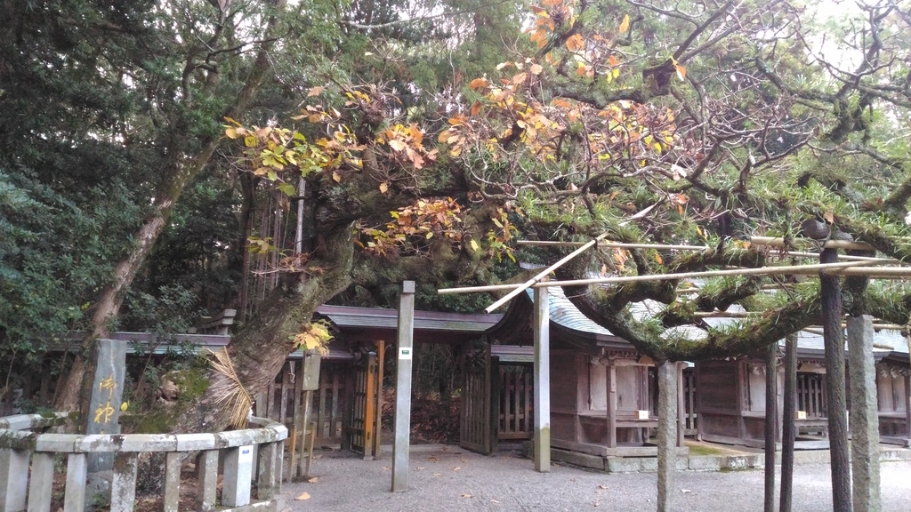 f:id:nuh_dl:20190103161209j:plain f:id:nuh_dl:20190103161209j:plain