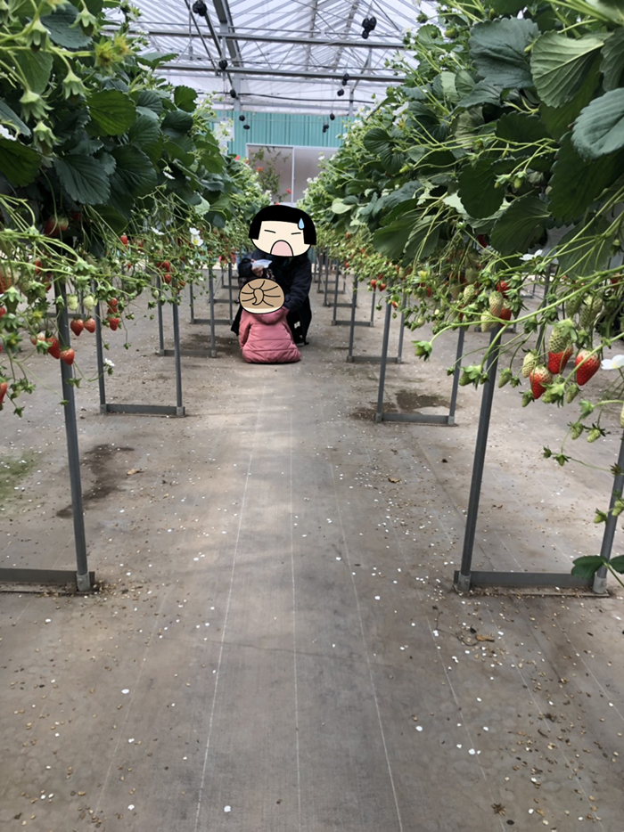 f:id:nuhox:20190223001643j:plain