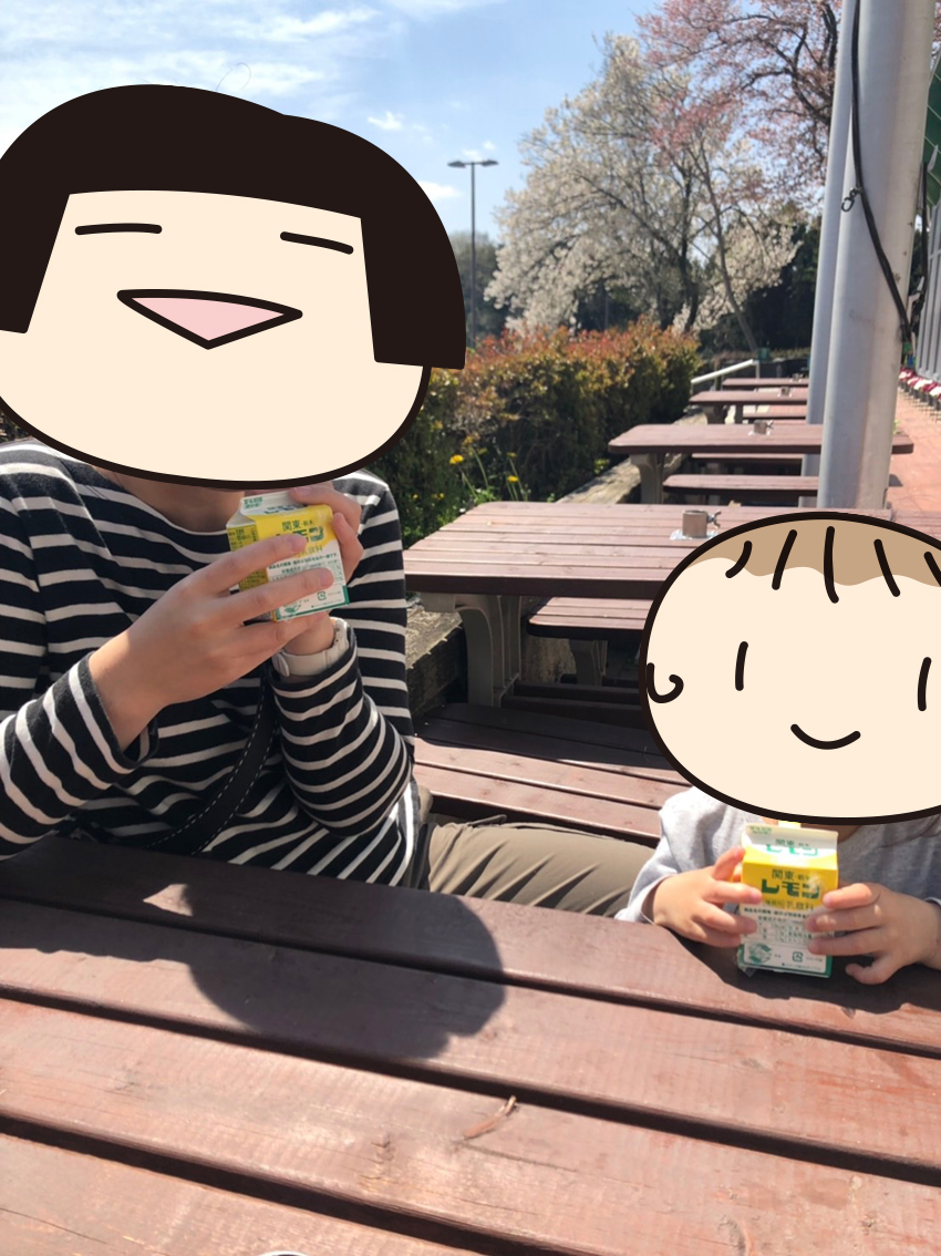 f:id:nuhox:20190508161151j:plain