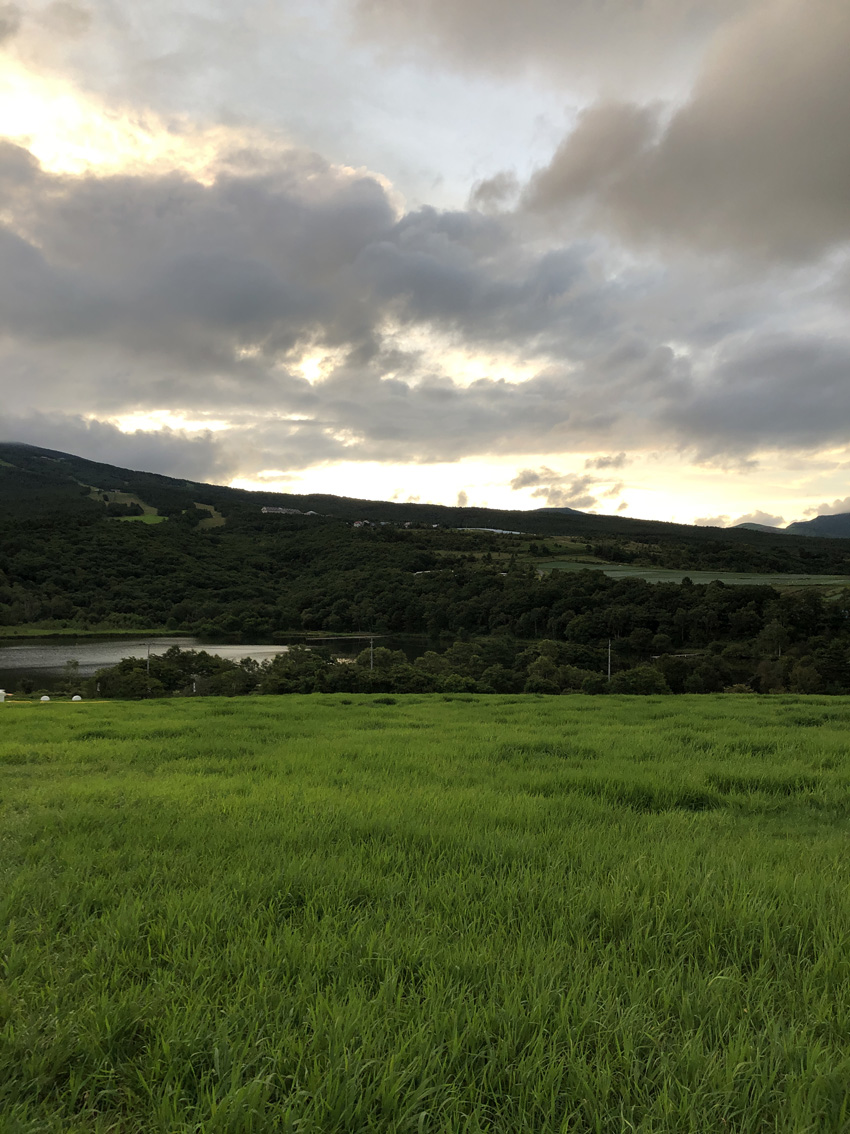 f:id:nuhox:20191108224221j:plain
