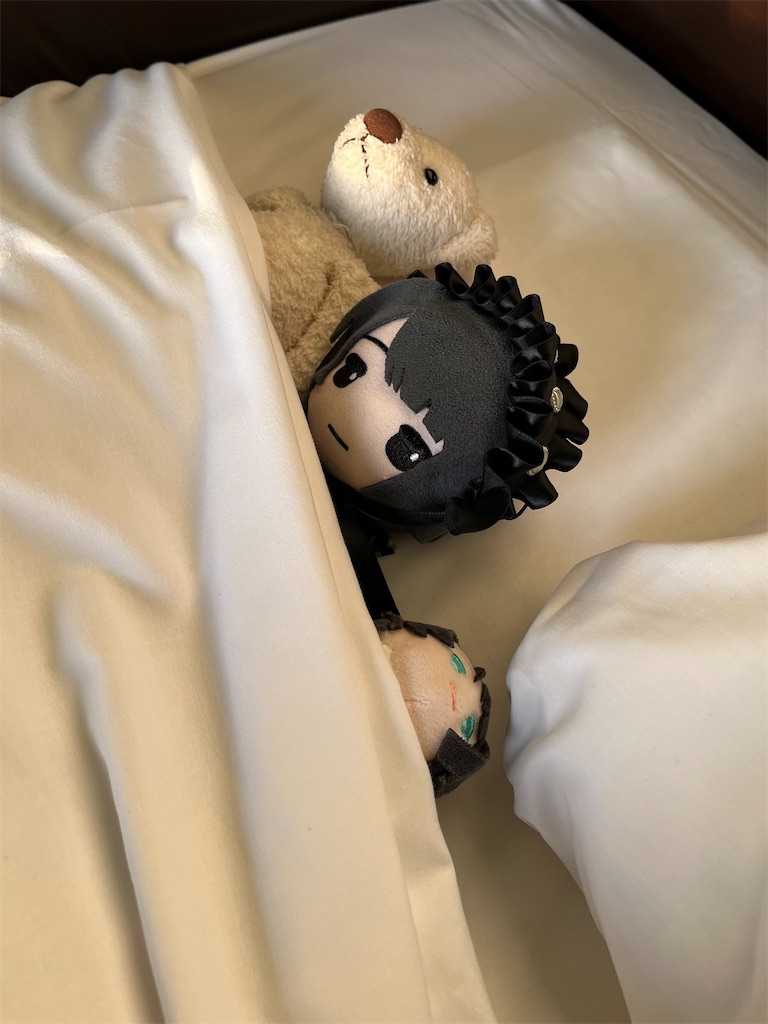 f:id:nui_mie:20230505075025j:image