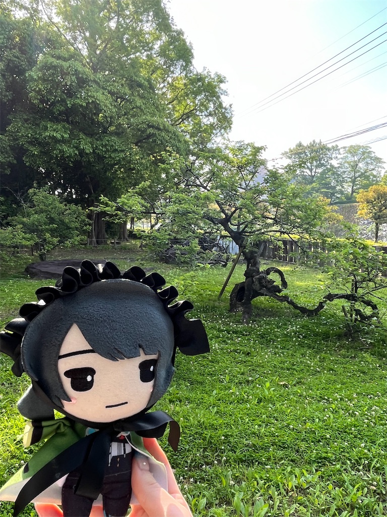 f:id:nui_mie:20230505075202j:image