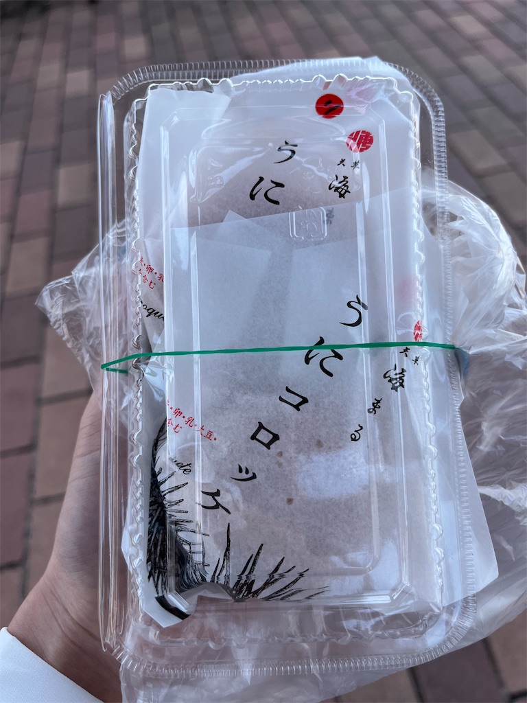 f:id:nui_mie:20230505075719j:image