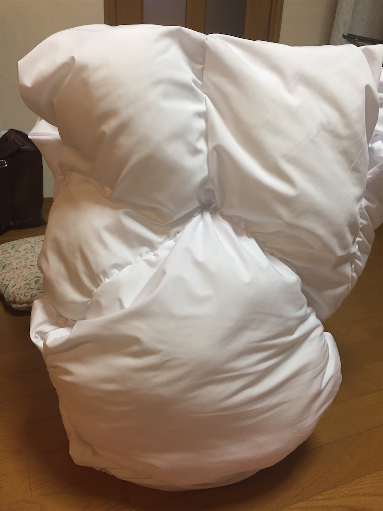 まずは着るあんこから！ボディ制作突入！ - 小動物ケージ