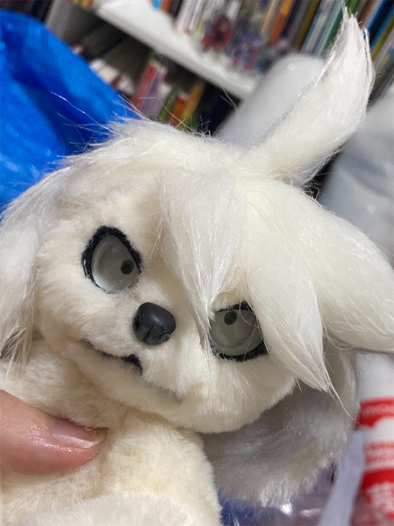 たぬきといえばキツネだしね、ミオリネさん擬獣化アートドール たぬきといえばキツネだしね、ミオリネさん擬獣化アートドール