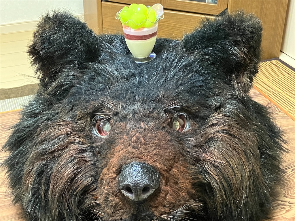 f:id:nui_nuigurumi_ootachi:20241008123522j:image