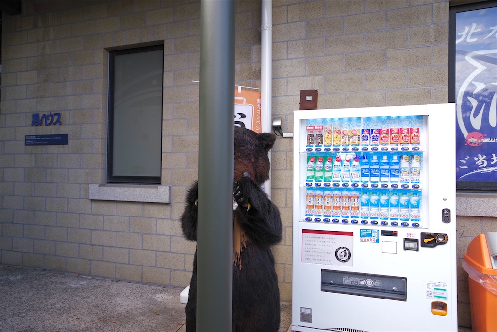 f:id:nui_nuigurumi_ootachi:20241008123548j:image