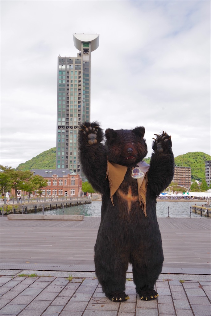 f:id:nui_nuigurumi_ootachi:20241008123616j:image