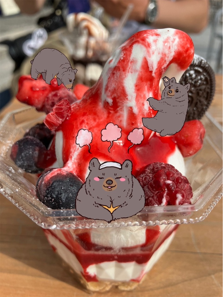 f:id:nui_nuigurumi_ootachi:20241008123635j:image