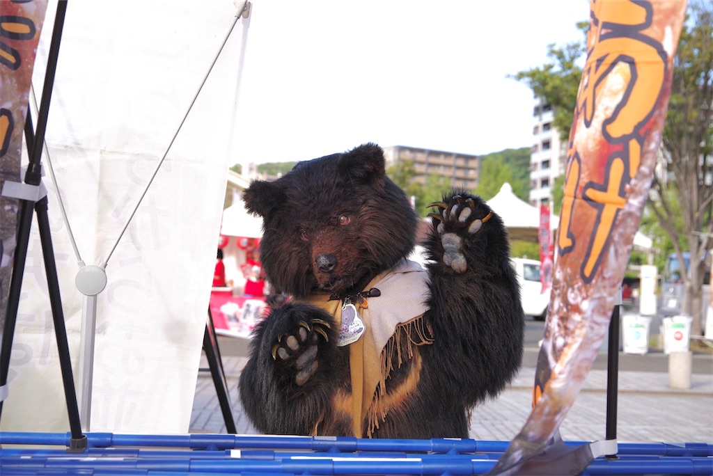 f:id:nui_nuigurumi_ootachi:20241008123745j:image